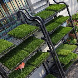 Artificial grass - Sacate sintetico turf