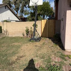 Free Basketball Hoop