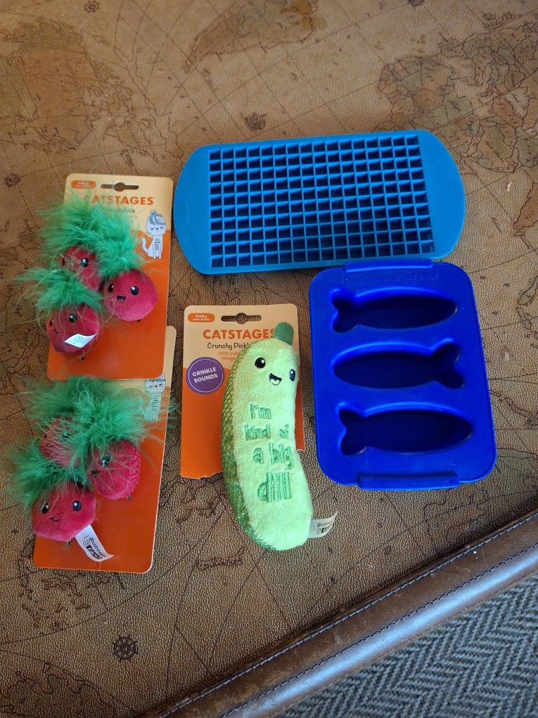 Cat Toys & Accessories