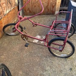 Tree Wheel Bike Rare