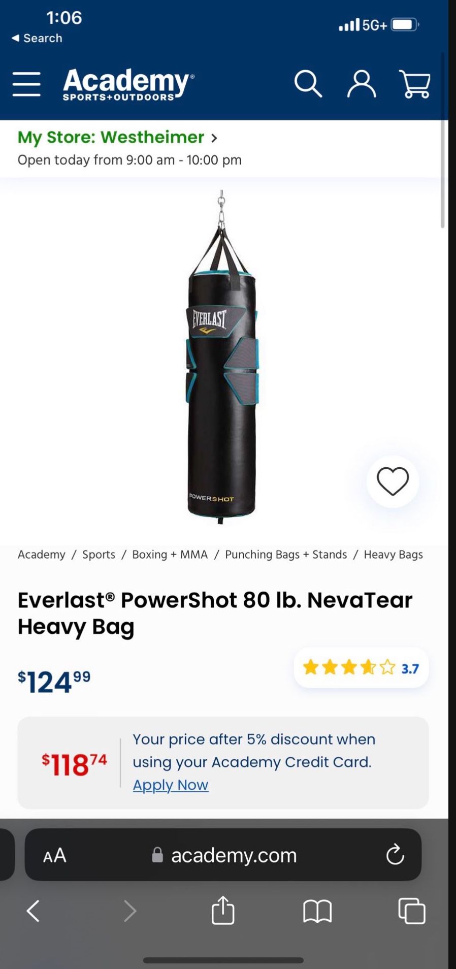 Everlast Punch Bag