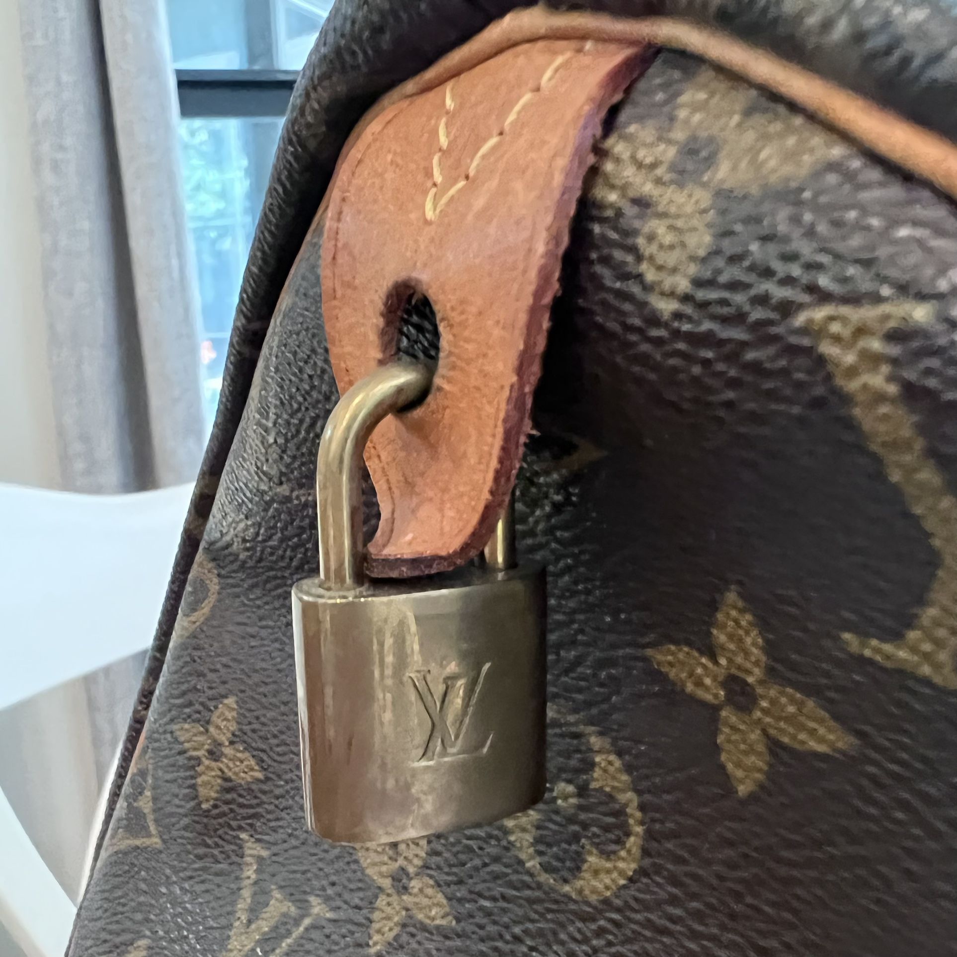 Louis Vuitton Speedy 30 for Sale in Tampa, FL - OfferUp
