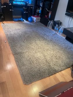 Gray shag rug 7’x 10’