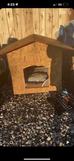 Dog House