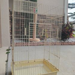 Birds Cage 