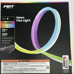 Neon Flex Light (10ft)