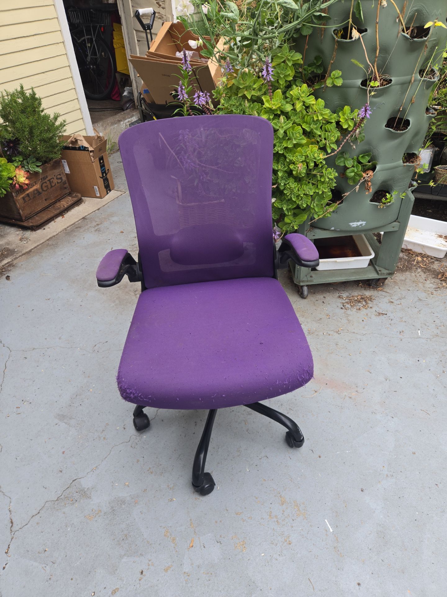 Ergonomic, rolling chair, comfortable