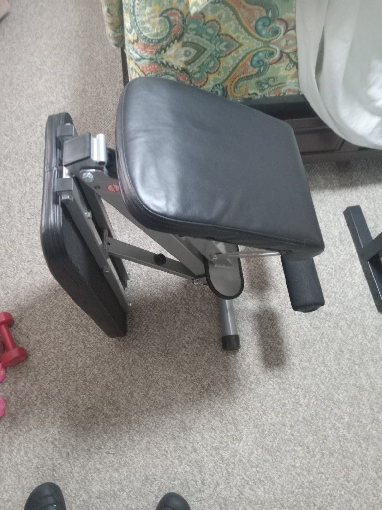 Collapsible Workout Bench