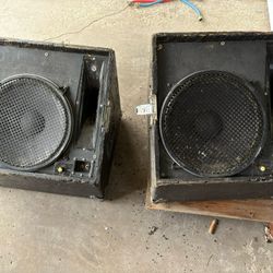 Custom Built Floor Monitors. Fostex L469