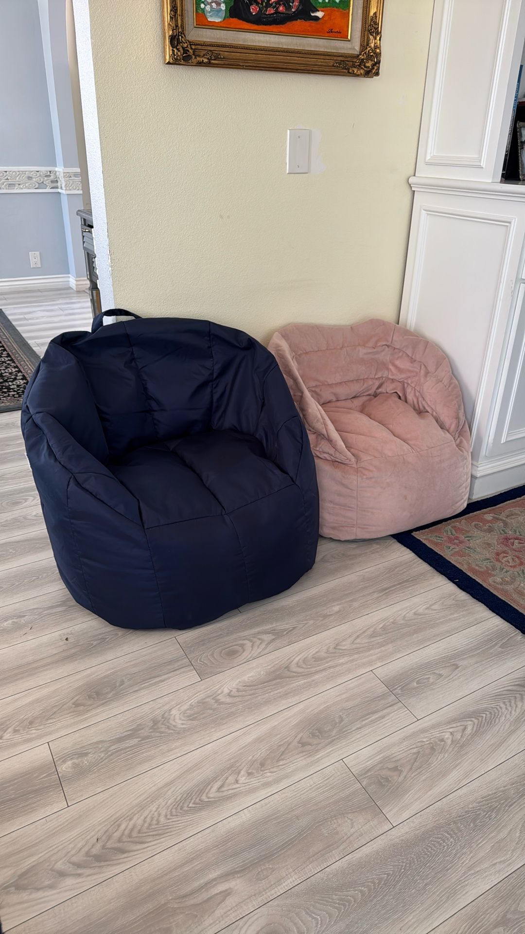 Big Joe Bean Bags (can buy individually If you want)