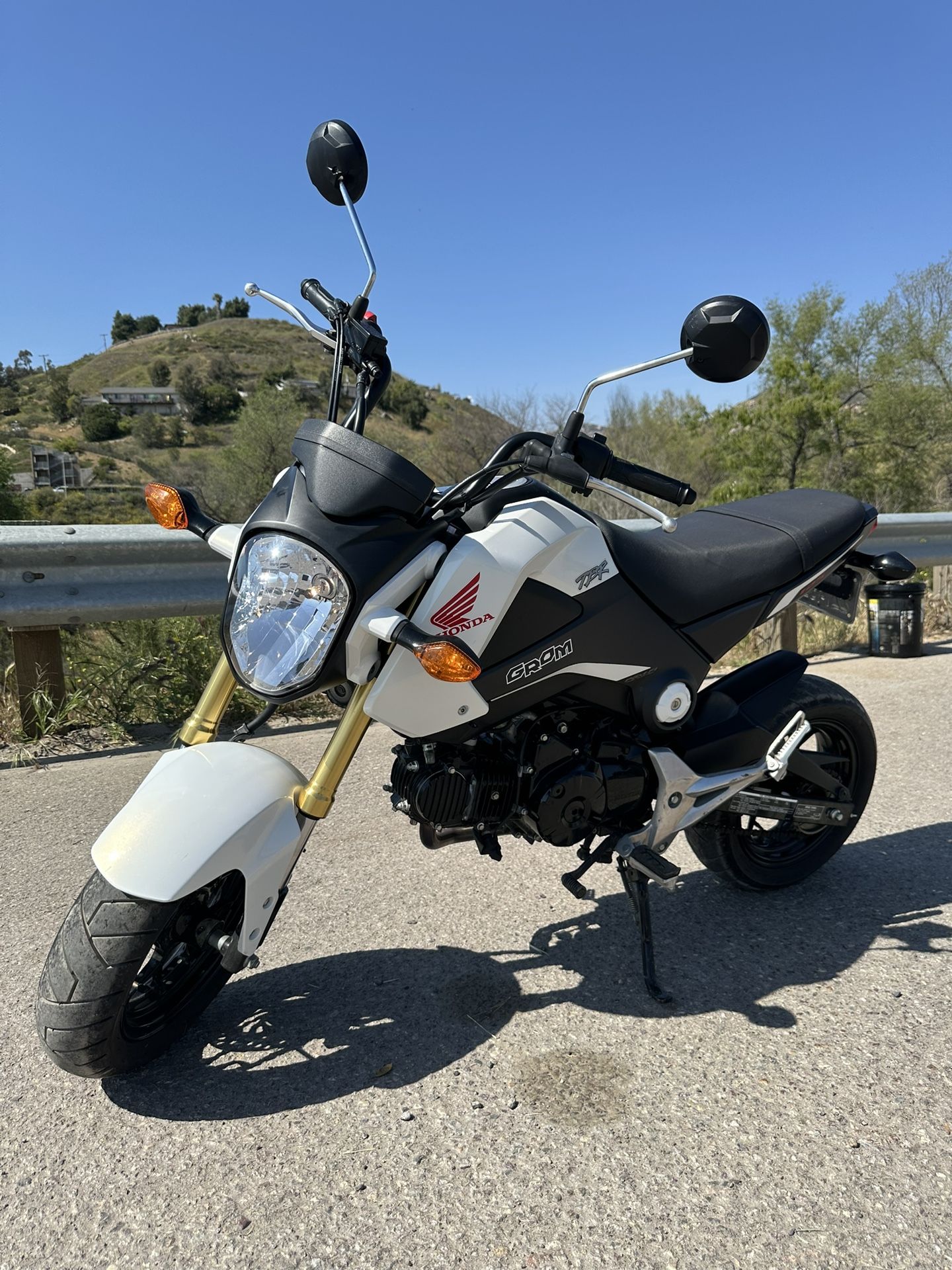 2015 Honda Grom