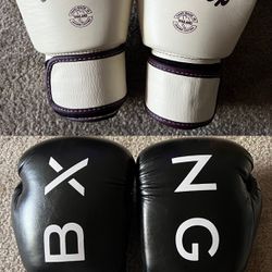 Boxing Gloves Muay Thai Fairtex 12oz Leather BXNG Club 16oz