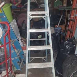 Escalera D 6 Pies Marca Werner