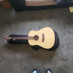 Seagull Walnut  ISYST AND CASE 