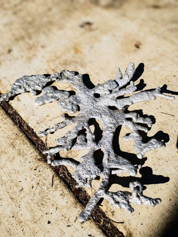 Aluminum Ant Hill Casting