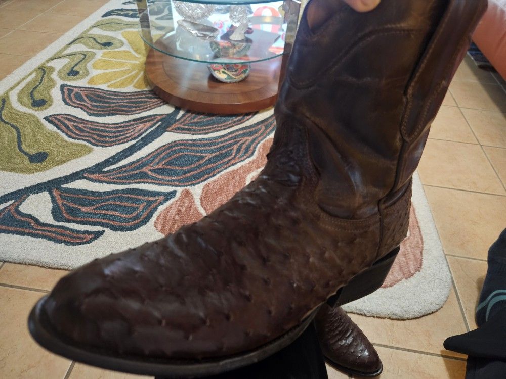 FREEBIRD OSTRICH BOOTS