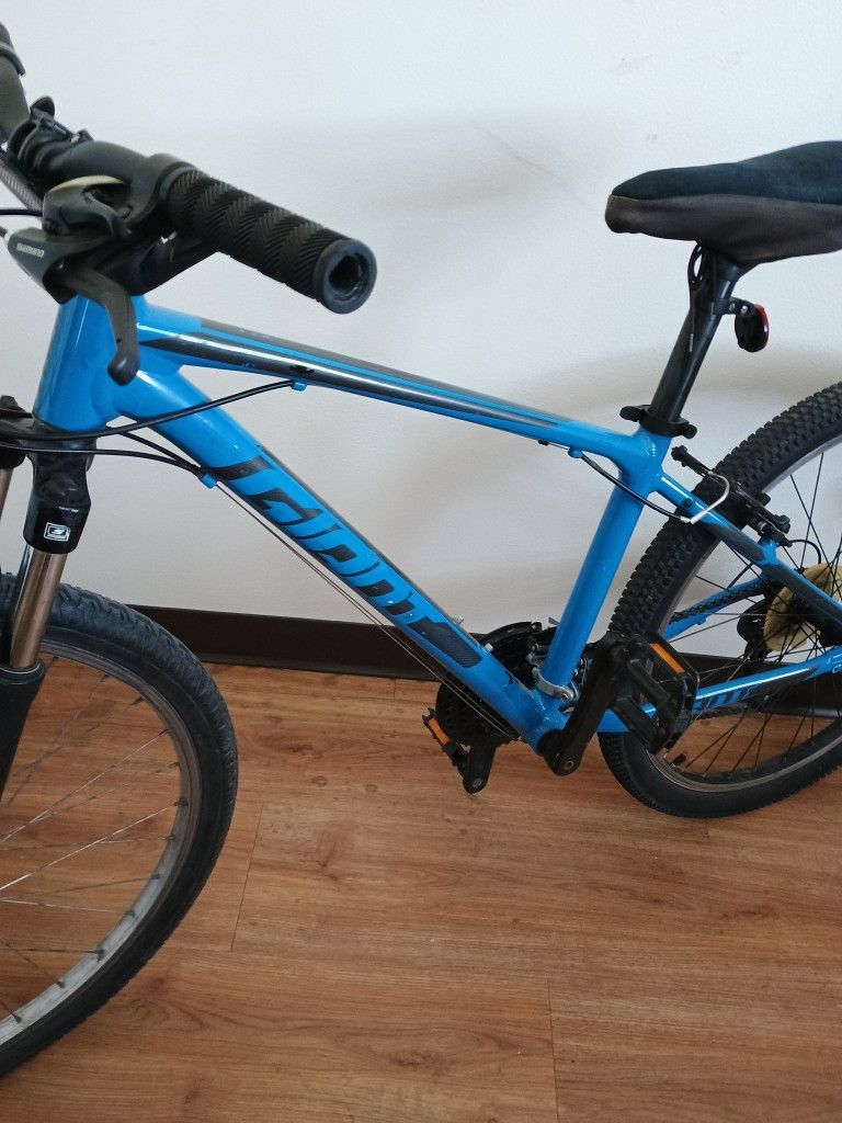Giant (ATX ) Mountain Bike