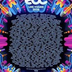 EDC festival VIP