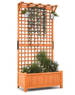 Garden Bed