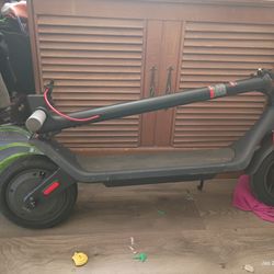 Adult electric scooter