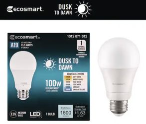 EcoSmart 100-Watt Dusk to Dawn LED Light Bulb (2 Lights)