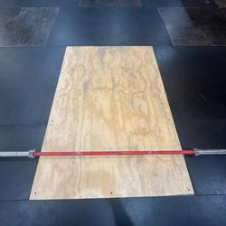 Rogue Olympic Weightlifting Barbell (20kg/44lbs)
