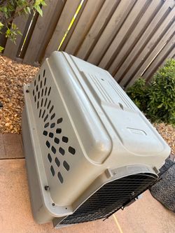 Petco Dog Kennel
