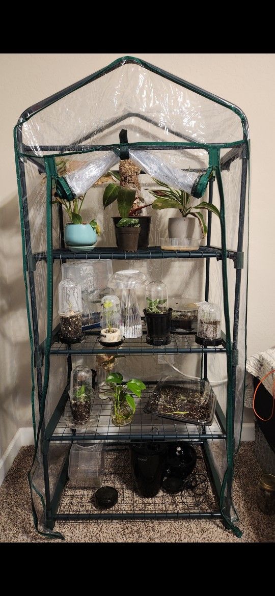 Greenhouse