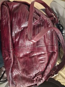 eel skin purse