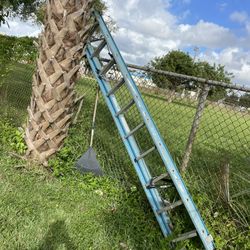 Werner 20 Foot Ladder
