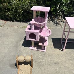 Cat house 