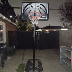 Lifetime Basketball Court