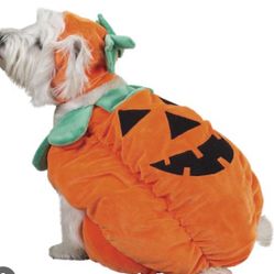 Pumpkin 🎃 Pet Halloween Costume 