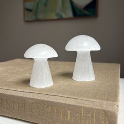 Set Of 2 Small Selenite Mushroom Carvings ( firm on price )