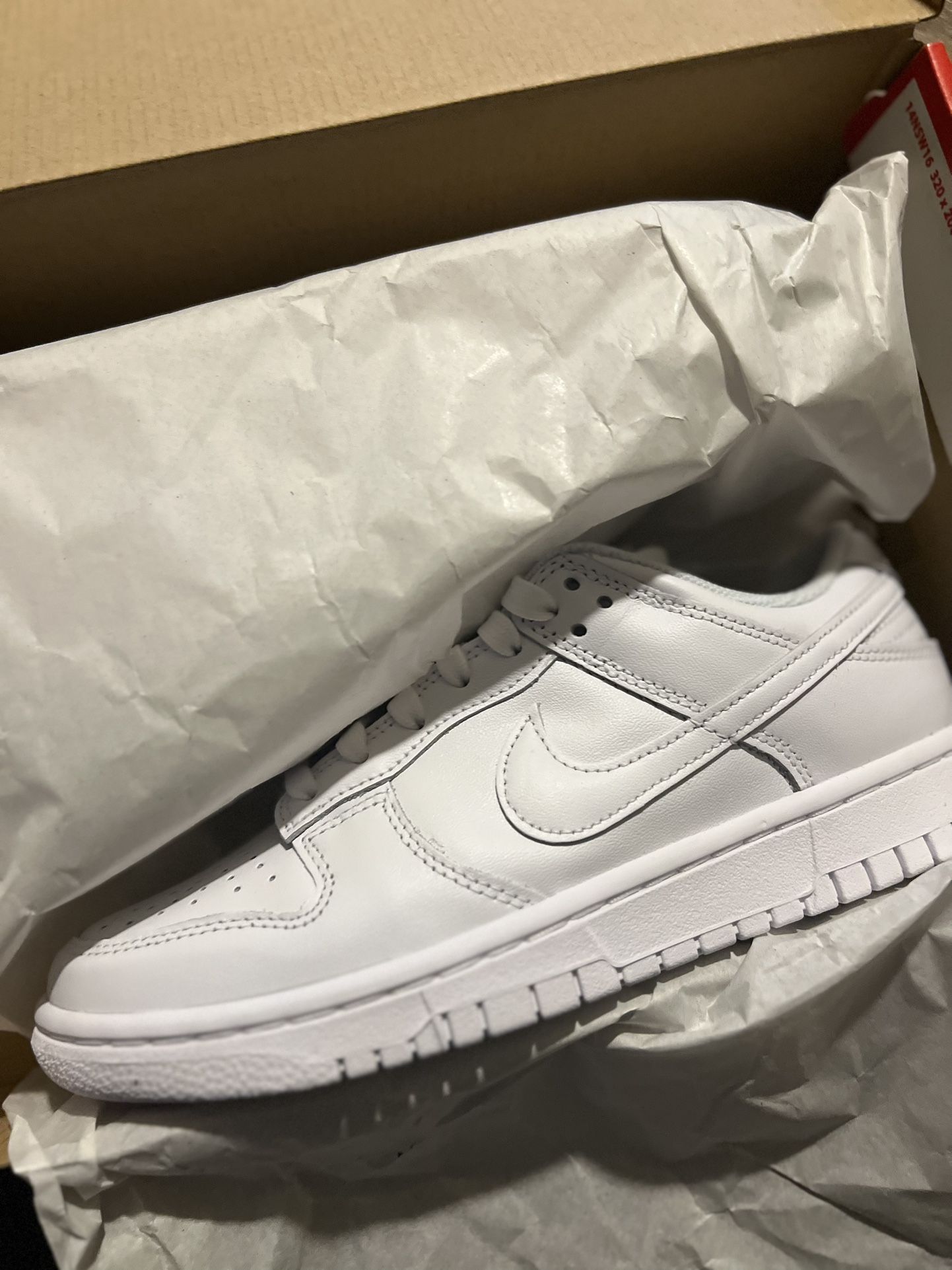 Nike Dunk Womens Mens