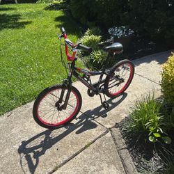 Schwinn Falcon