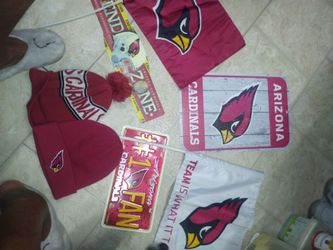 Arizona Cardinals Signs