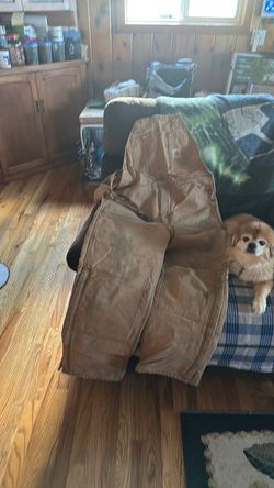 Carhartt Bib overall