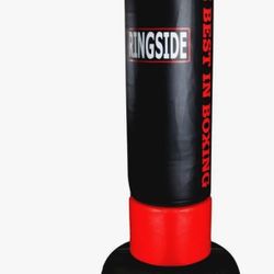 Ringside Punching Bag - Lightly Used