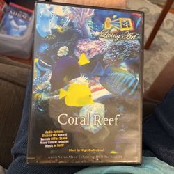 Coral Reef