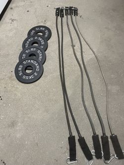 Weight Plates + Resistance Bands Set (20–60LB) – Home Gym Bundle