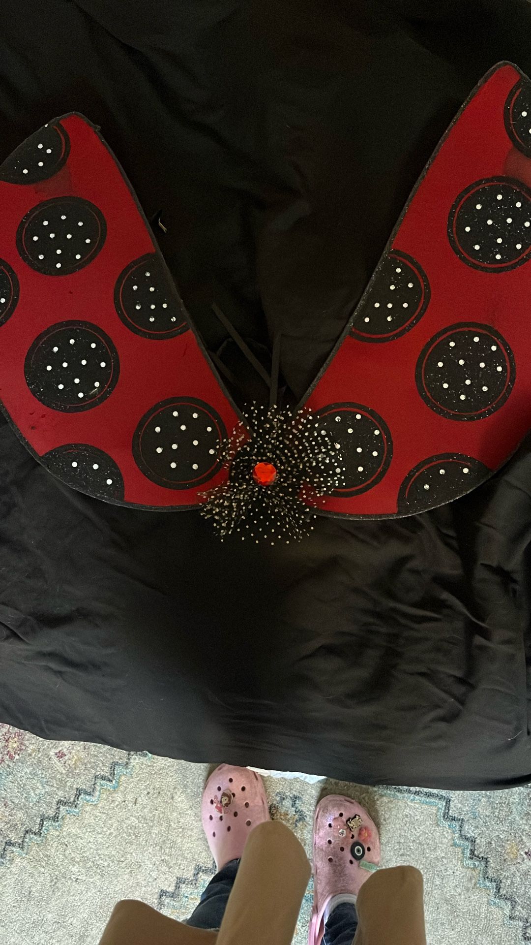 Lady Bug Wings For Halloween