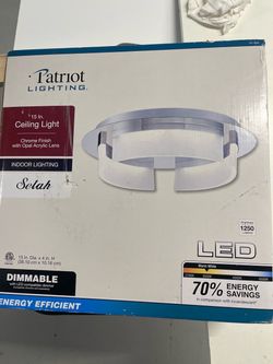Patriot brand ceiling light