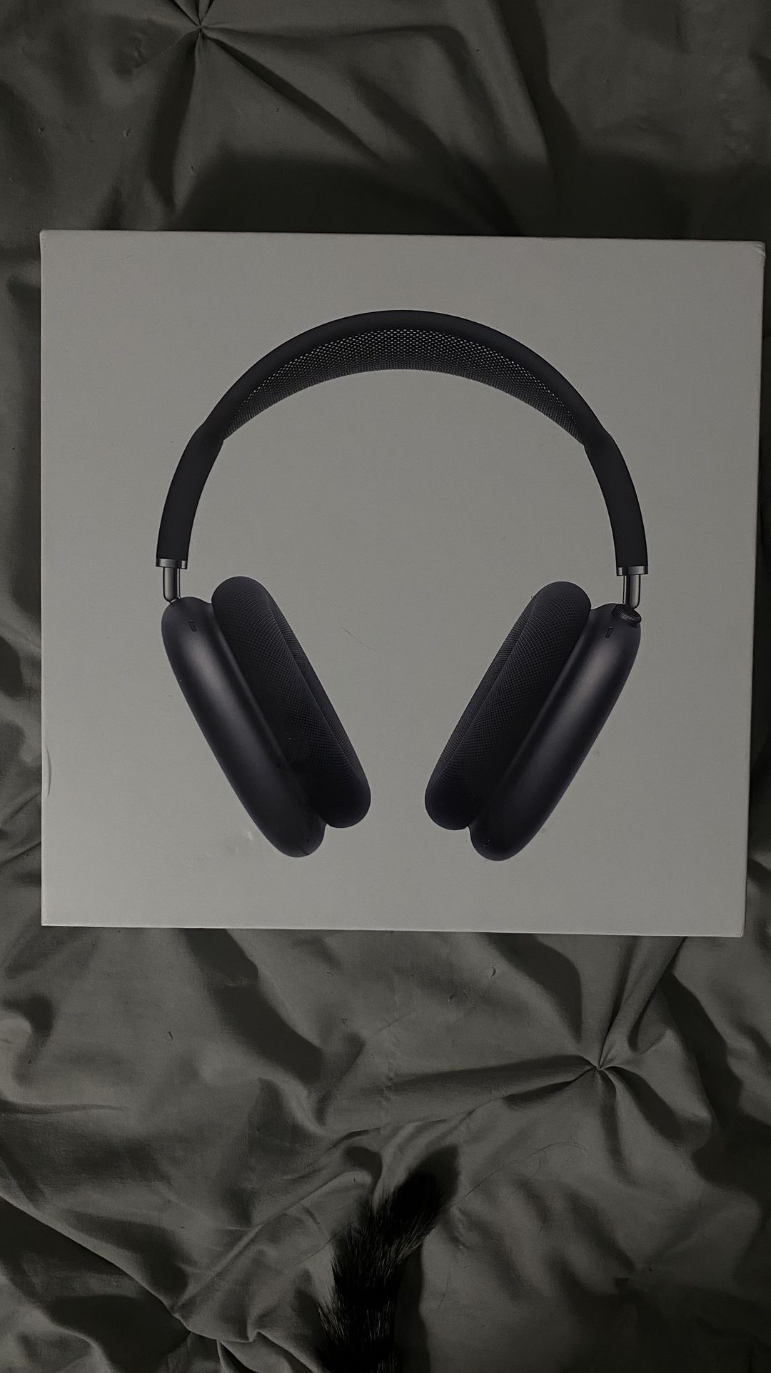 Apple Headphones (Air pod Max)