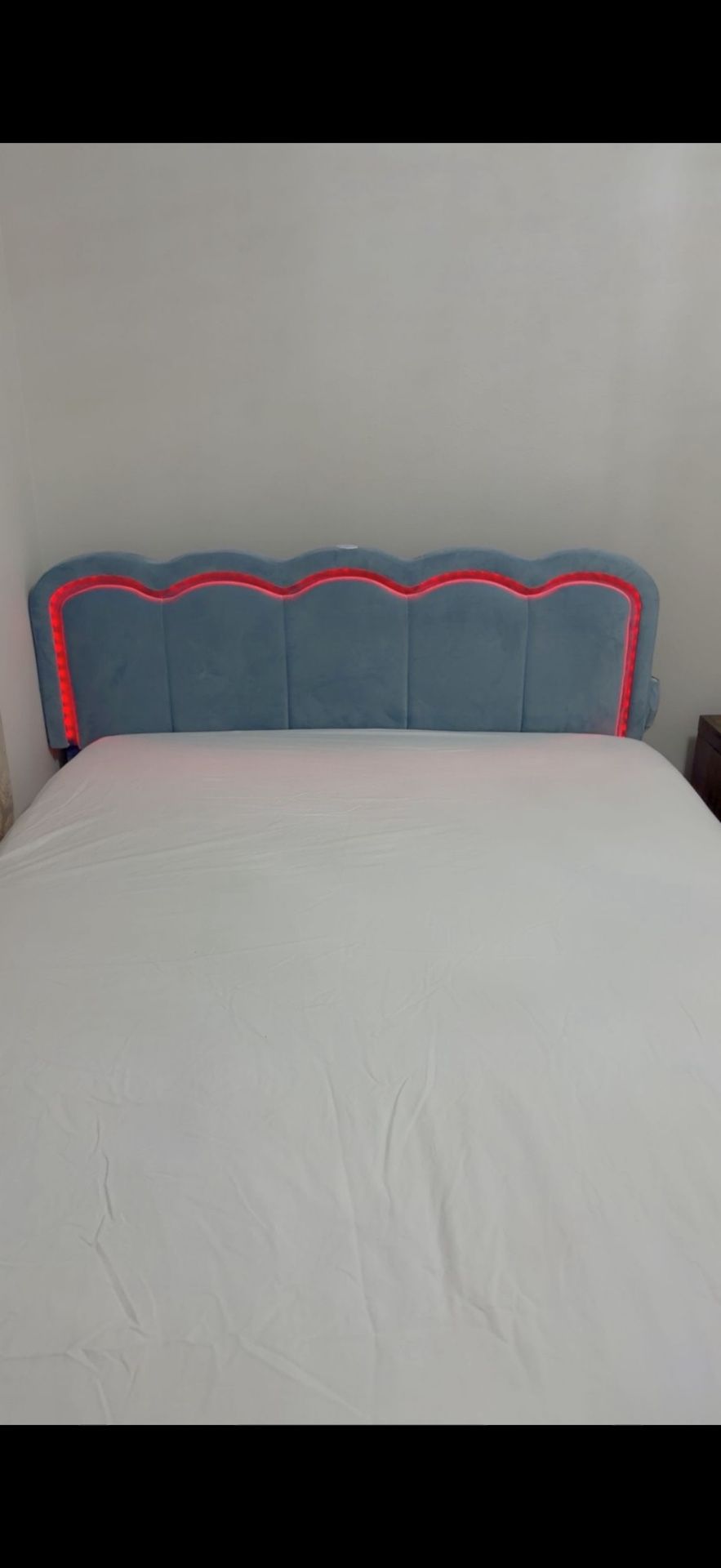 Queen Bed With Mattress 