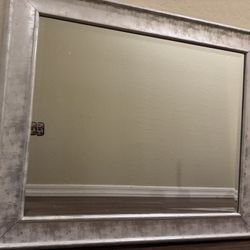 Platinum Colored Mirror