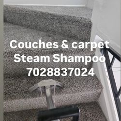 Carpets Steps Couches Steam 