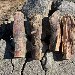 Pecan And Applewood For Barbecue And Wood Smoker’s 