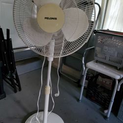 Fan