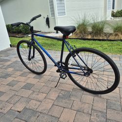 Hybrid Bike